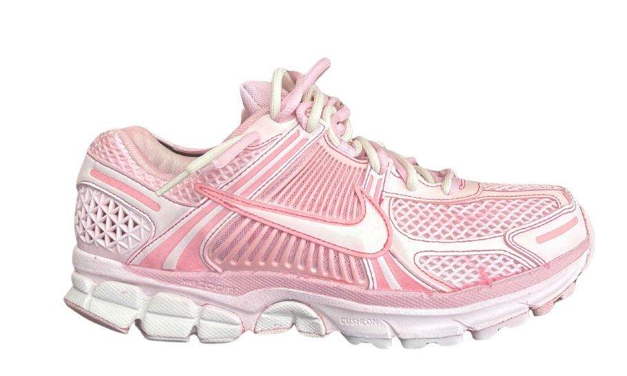 Vomero 5 Cream Pink (custom)