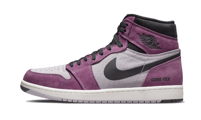 air-jordan-1-high-element-gore-tex-berry-socksforsport