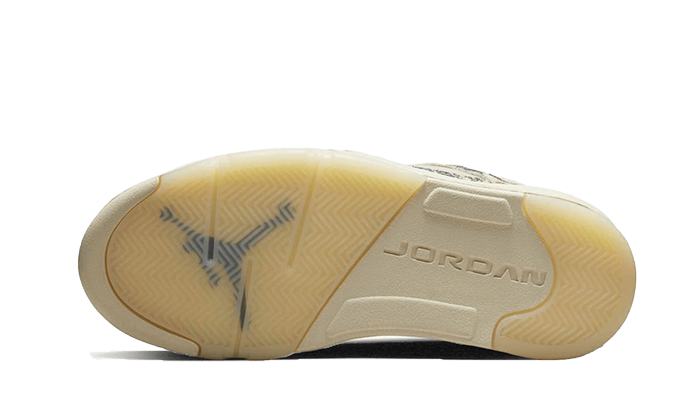 air-jordan-5-low-expression-socksforsport