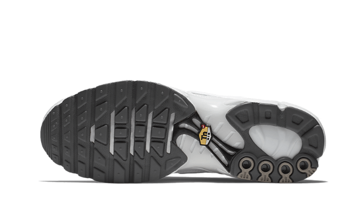 air-max-plus-white-socksforsport
