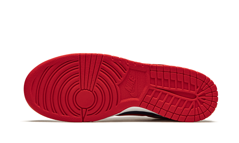 dunk-low-samba-2020-socksforsport