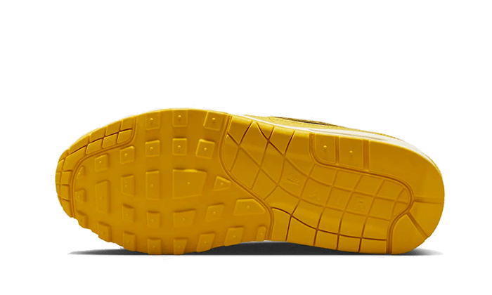 air-max-1-cojp-michigan-socksforsport
