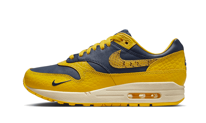 air-max-1-cojp-michigan-socksforsport