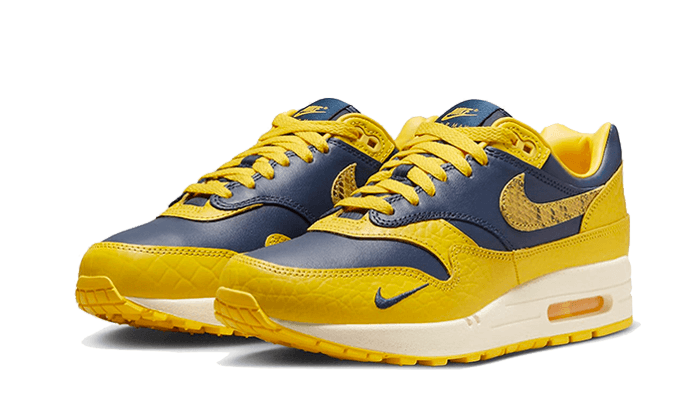 air-max-1-cojp-michigan-socksforsport