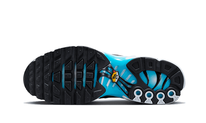 air-max-plus-baltic-blue-socksforsport