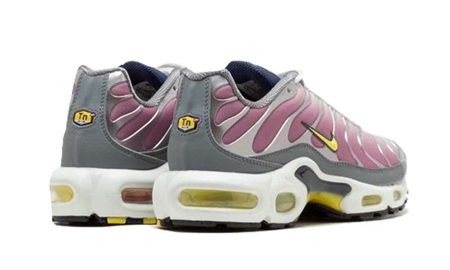 air-max-plus-violet-dust-socksforsport