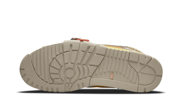 air-trainer-1-sp-coriander-socksforsport