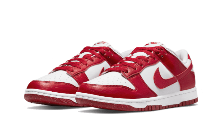 dunk-low-next-nature-gym-red-socksforsport