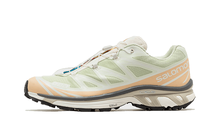 xt-6-aloe-wash-feather-grey-socksforsport