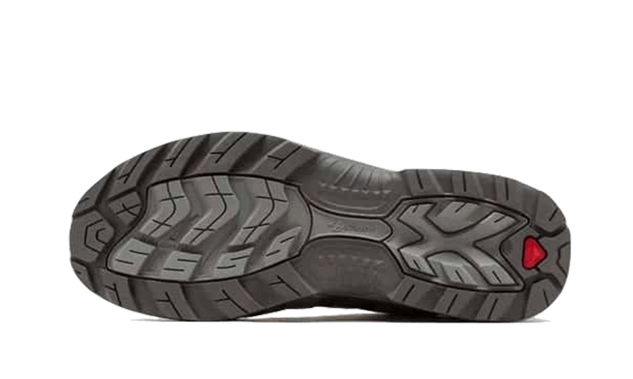 xt-quest-slam-jam-plum-kitten-lunar-rock-socksforsport