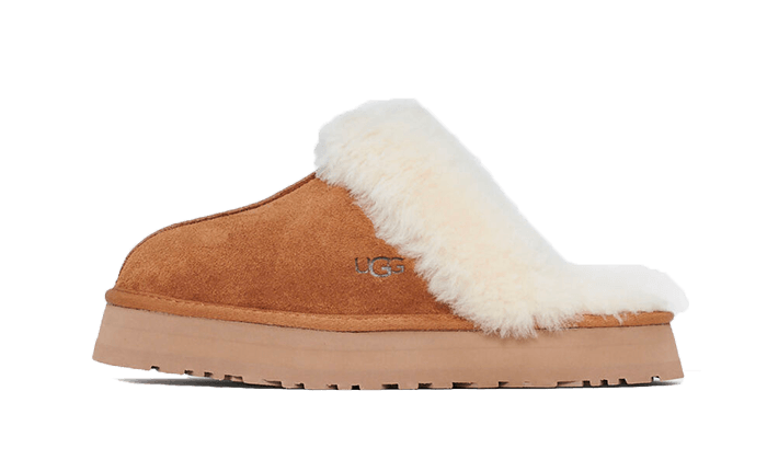 disquette-slipper-chestnut-socksforsport