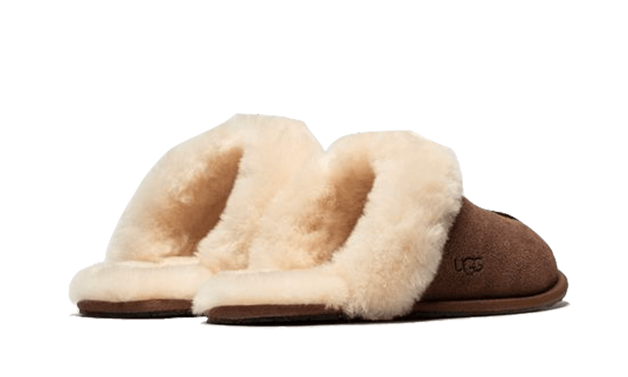 scuffette-ii-espresso-socksforsport