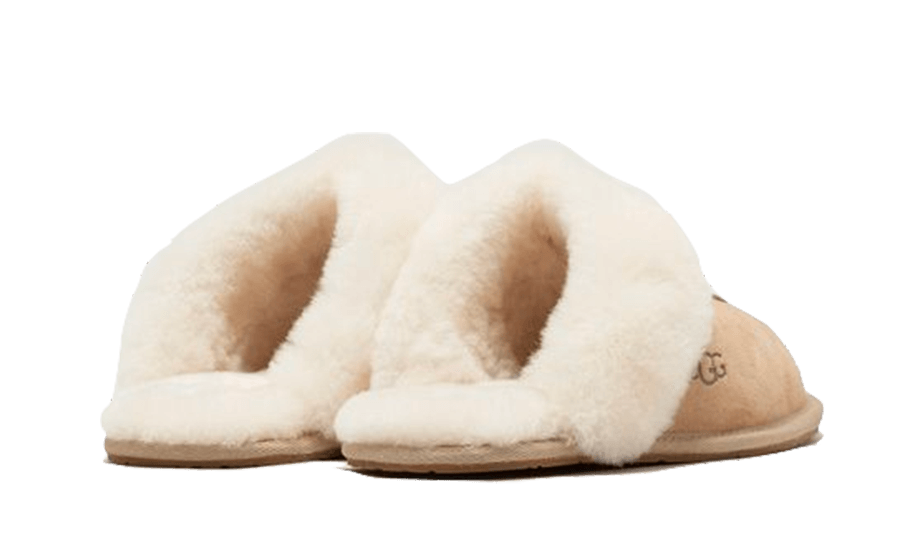 scuffette-ii-mustard-seed-socksforsport