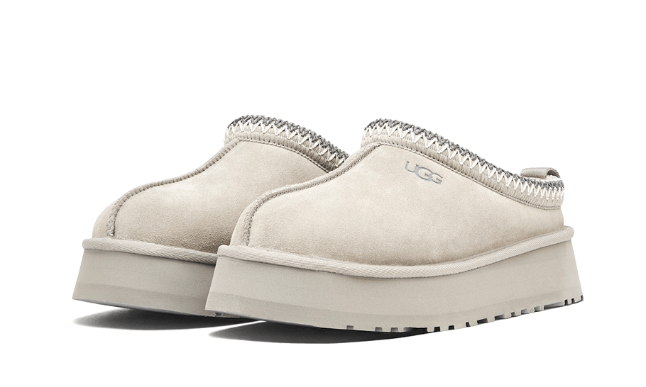 tazz-slipper-seal-socksforsport