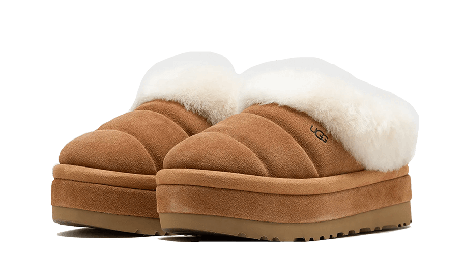 tazzlita-chestnut-socksforsport