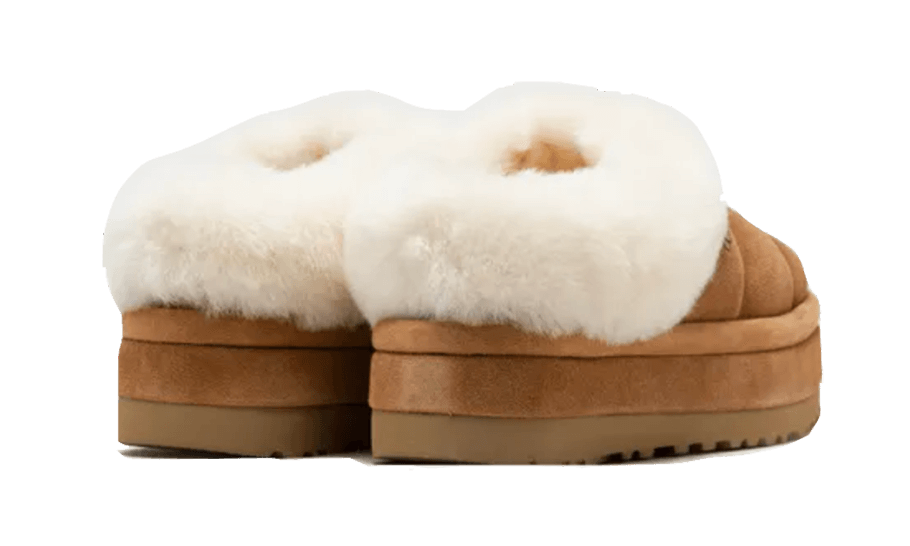 tazzlita-chestnut-socksforsport