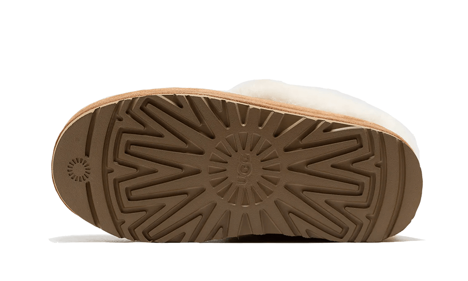 tazzlita-chestnut-socksforsport