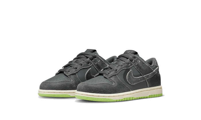 dunk-low-swoosh-shadow-iron-grey-enfant-ps-socksforsport