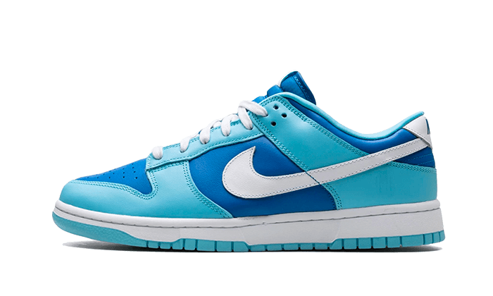 dunk-low-argon-socksforsport