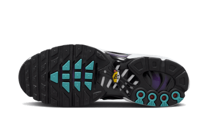 air-max-plus-reverse-grape-socksforsport