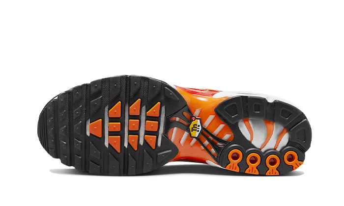 air-max-plus-light-photography-socksforsport