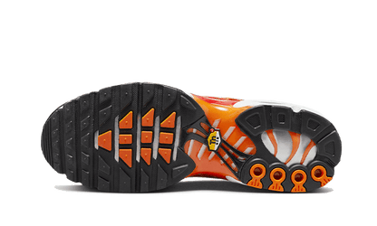 air-max-plus-light-photography-socksforsport