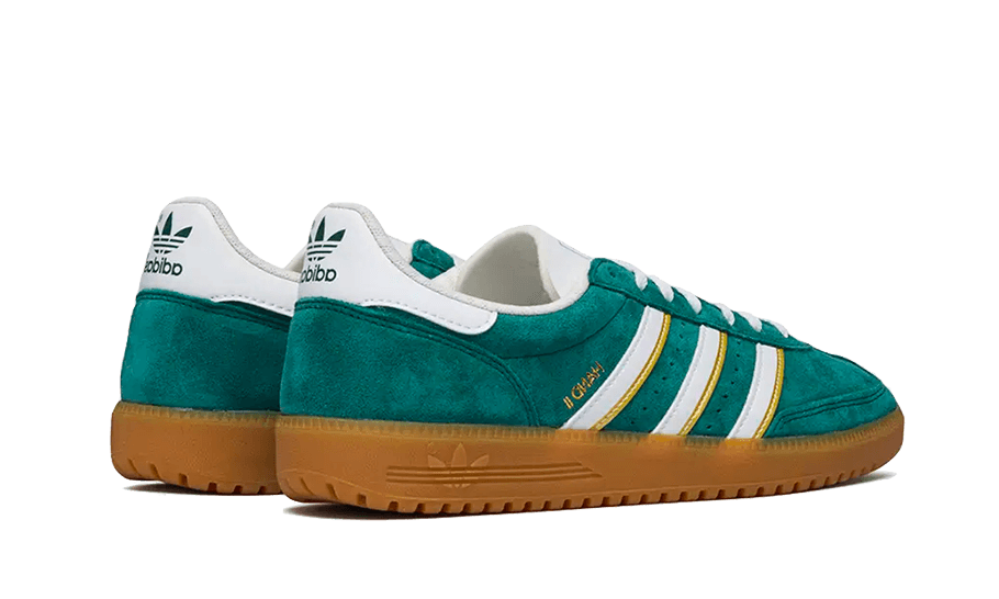 hand-2-collegiate-green-socksforsport