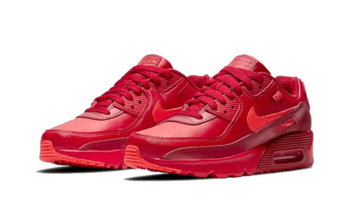 air-max-90-chi-city-special-socksforsport