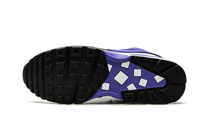 air-max-bw-persian-violet-socksforsport