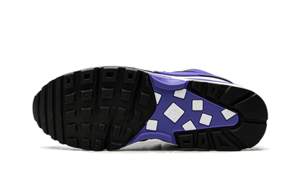 air-max-bw-persian-violet-socksforsport