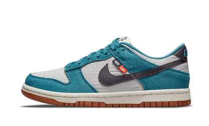 dunk-low-next-nature-se-toasty-socksforsport