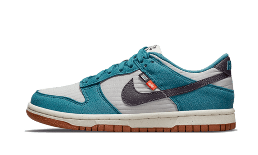 dunk-low-next-nature-se-toasty-socksforsport