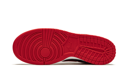dunk-low-samba-2020-socksforsport