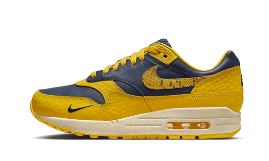 air-max-1-cojp-michigan-socksforsport