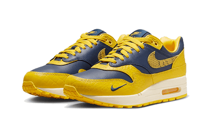 air-max-1-cojp-michigan-socksforsport