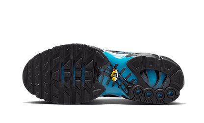 air-max-plus-blue-gradient-socksforsport
