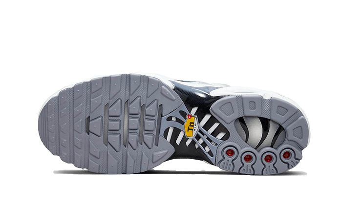air-max-plus-sail-grey-socksforsport