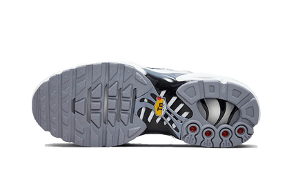 air-max-plus-sail-grey-socksforsport