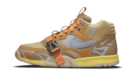 air-trainer-1-sp-coriander-socksforsport