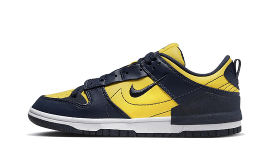 dunk-low-disrupt-2-michigan-socksforsport
