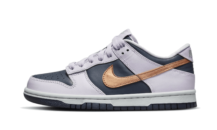 dunk-low-se-copper-swoosh-socksforsport