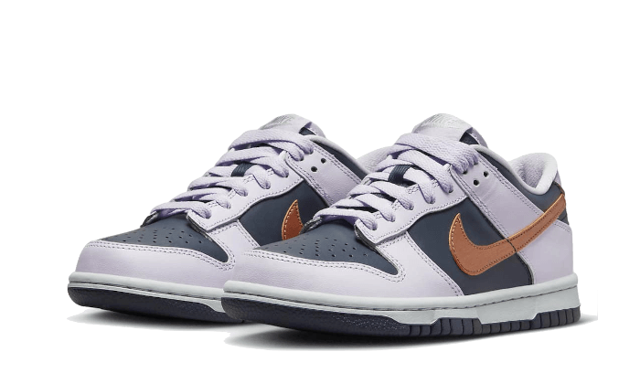 dunk-low-se-copper-swoosh-socksforsport