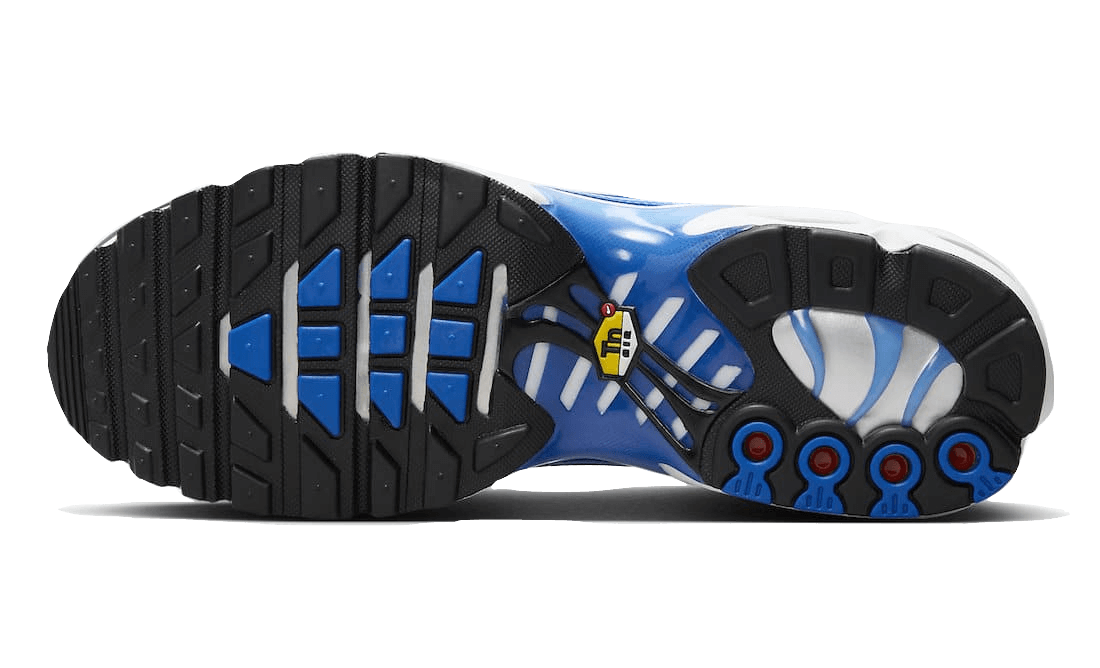 air-max-plus-light-photography-old-royal-socksforsport