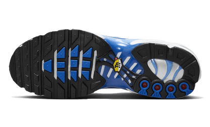 air-max-plus-light-photography-old-royal-socksforsport
