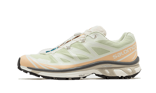 xt-6-aloe-wash-feather-grey-socksforsport