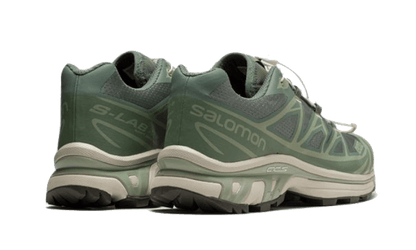 xt-6-desert-sage-socksforsport