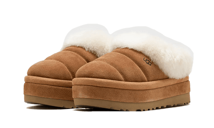 tazzlita-chestnut-socksforsport