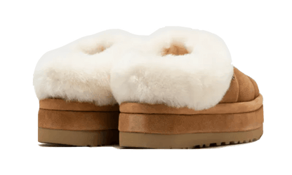 tazzlita-chestnut-socksforsport