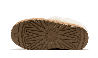 tazzlita-chestnut-socksforsport