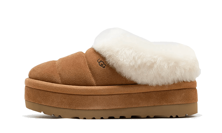 tazzlita-chestnut-socksforsport